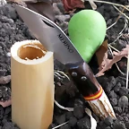 Jarota 10