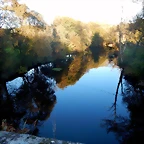 DSCN8970