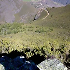 DSCN7965