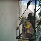 IMG_20171230_121149_276