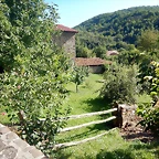 DSCN8665