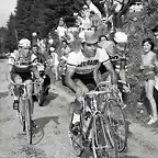 Agostinho-Tour1972-Poulidor-Van Impe