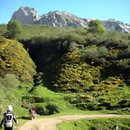 DSCN8079