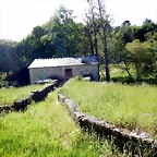 DSCN2464