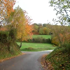 DSCN5899