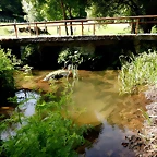 DSCN2472
