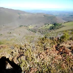 DSCN1542