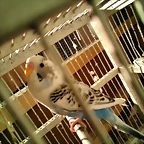 IMG_20180101_162421_618