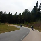 DSCN8545