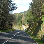 DSCN8635