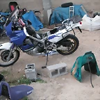 reyes 005