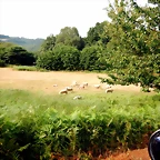 DSCN8400