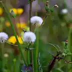 16, blanco y amarillo, marca