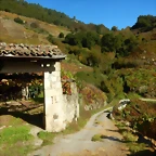 DSCN4623