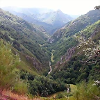 DSCN4327