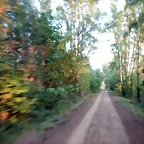 DSCN9549