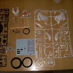 DSCN3005