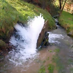 DSCN7311