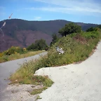 DSCN5736