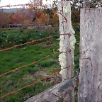 DSCN0644'6