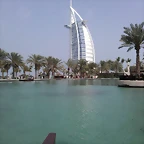 IMAG2555