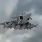 gripen-ng-FAA