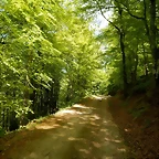 DSCN9831