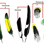 28570C7E9423567996E626567996E0