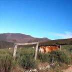 DSCN6780