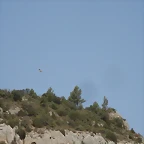 LAGUNASECA 011