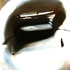 DSC01219