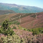 DSCF2568