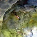 DSCN3769