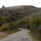 DSCN8995