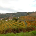 DSCN9943