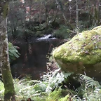 DSCN8997