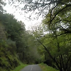 DSCN9461