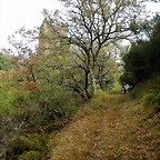 DSCN9693