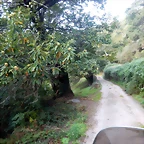 DSCN0700