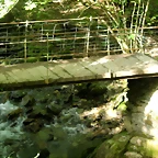 IMG_6738