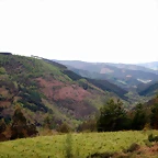 DSCN4320