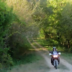 DSCN1450