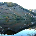 DSCN6490