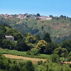 09-IMG_7230