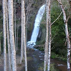 DSCN8013