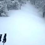 Video Hugo IG 20-3-2018 (1)