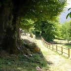 DSCN2152