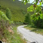 DSCN2246