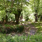 DSCN2161