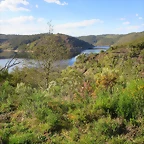 61-IMG_5817